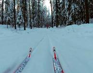 В декабре пассажиры пригородных поездов могут бесплатно провозить сноуборды и лыжи