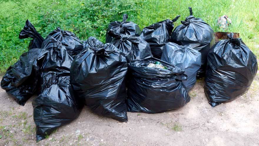 Очередной чемпионат по спортивному сбору мусора пройдет в Томской области