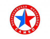 Борцы из Томской области отличились на всероссийских соревнованиях по самбо