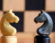 Итоги шахматного турнира «Siberian Chess»