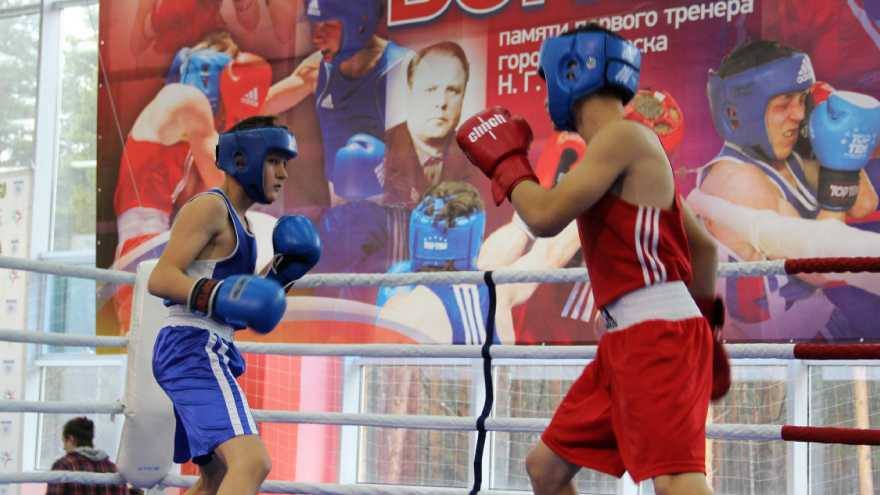 Открытые соревнования по боксу памяти Николая Путина