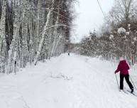 Освещенные лыжные трассы открылись в Томске