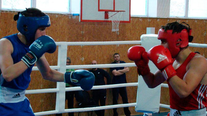 Стартуют чемпионат и первенство Томска по боксу