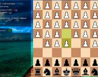 Шахматисты сыграли в «Орду» в интернете