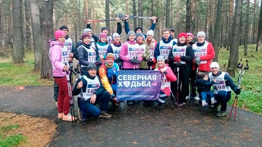 В региональном этапе проекта «Северная ходьба - новый образ жизни» победили северчане