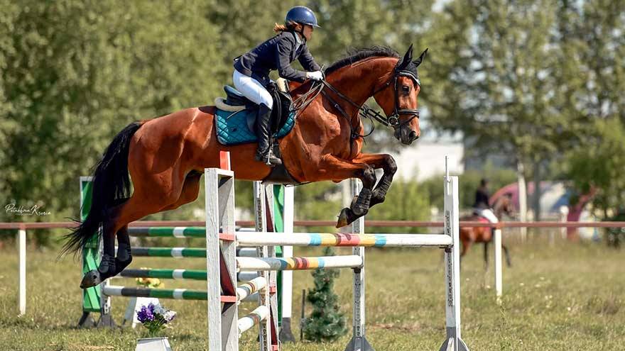 Конники отличились на чемпионате и первенстве Сибири