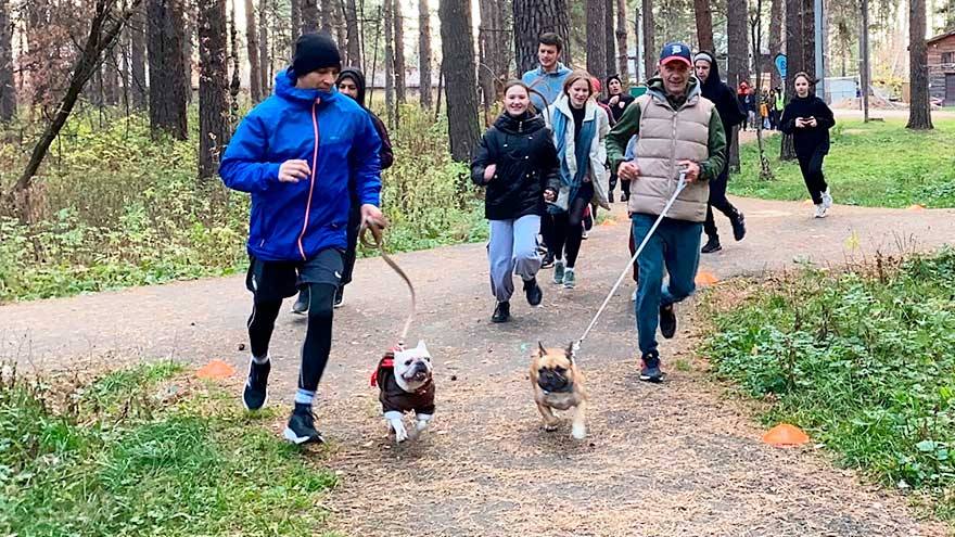 Пес Барбос и необычный кросс по-томски